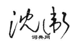駱恆光沈衛草書個性簽名怎么寫