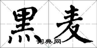 翁闓運黑麥楷書怎么寫