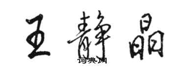 駱恆光王靜晶行書個性簽名怎么寫