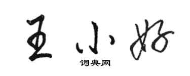 駱恆光王小好行書個性簽名怎么寫