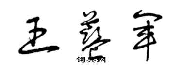 曾慶福王藍軍草書個性簽名怎么寫