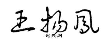 曾慶福王揚鳳草書個性簽名怎么寫