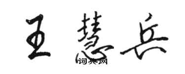 駱恆光王慧兵行書個性簽名怎么寫