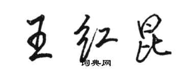 駱恆光王紅昆行書個性簽名怎么寫