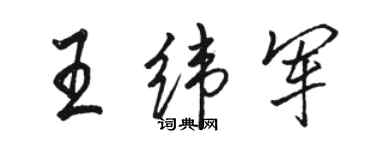 駱恆光王緯軍行書個性簽名怎么寫