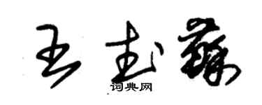 朱錫榮王武蘇草書個性簽名怎么寫