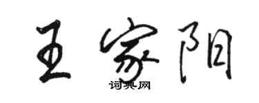 駱恆光王家陽行書個性簽名怎么寫