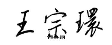 王正良王宗環行書個性簽名怎么寫