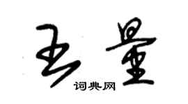 朱錫榮王量草書個性簽名怎么寫