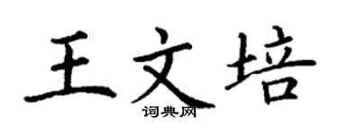 丁謙王文培楷書個性簽名怎么寫