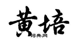 胡問遂黃培行書個性簽名怎么寫