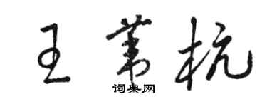 駱恆光王葦杭草書個性簽名怎么寫
