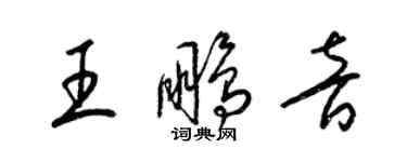 梁錦英王鵬音草書個性簽名怎么寫