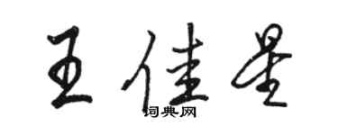 駱恆光王佳星行書個性簽名怎么寫