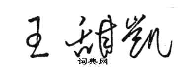 駱恆光王甜凱草書個性簽名怎么寫
