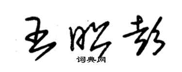 朱錫榮王昭彭草書個性簽名怎么寫