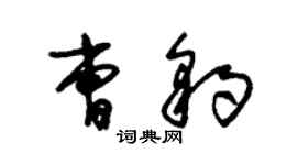 朱錫榮曹豹草書個性簽名怎么寫