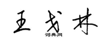 梁錦英王戈林草書個性簽名怎么寫