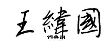 王正良王緯國行書個性簽名怎么寫