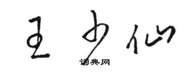 駱恆光王少仙草書個性簽名怎么寫