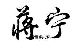 胡問遂蔣寧行書個性簽名怎么寫
