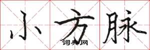 駱恆光小方脈楷書怎么寫