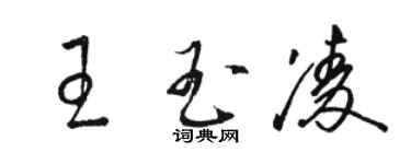 駱恆光王玉凌草書個性簽名怎么寫