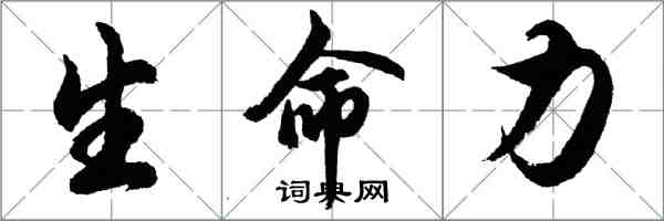 胡問遂生命力行書怎么寫