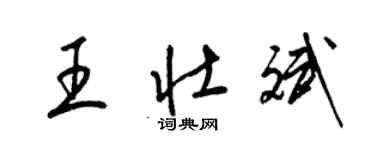 梁錦英王壯斌草書個性簽名怎么寫