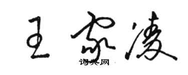 駱恆光王家凌草書個性簽名怎么寫