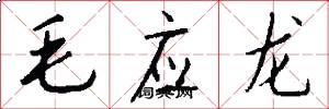 毛應龍怎么寫好看