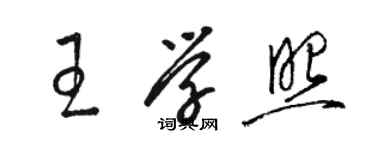 駱恆光王學照草書個性簽名怎么寫