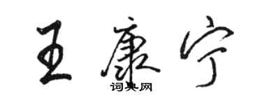 駱恆光王康寧行書個性簽名怎么寫