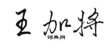 駱恆光王加將行書個性簽名怎么寫