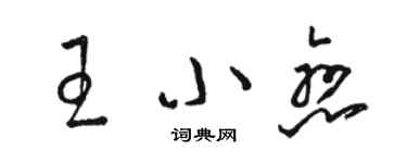 駱恆光王小戀草書個性簽名怎么寫