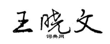 曾慶福王曉文行書個性簽名怎么寫