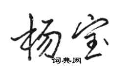 駱恆光楊寶行書個性簽名怎么寫