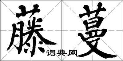 翁闓運藤蔓楷書怎么寫