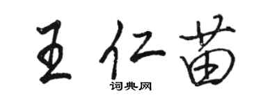 駱恆光王仁苗行書個性簽名怎么寫