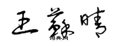 曾慶福王蘇晴草書個性簽名怎么寫