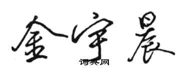 駱恆光金宇晨行書個性簽名怎么寫