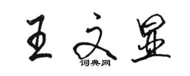 駱恆光王文顯行書個性簽名怎么寫