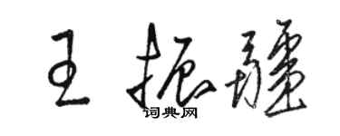 駱恆光王振疆草書個性簽名怎么寫