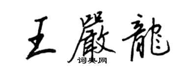 王正良王嚴龍行書個性簽名怎么寫