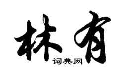 胡問遂林有行書個性簽名怎么寫