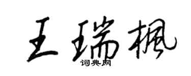 王正良王瑞楓行書個性簽名怎么寫