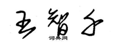 朱錫榮王智千草書個性簽名怎么寫