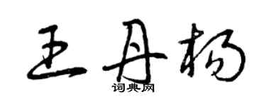 曾慶福王丹楊草書個性簽名怎么寫