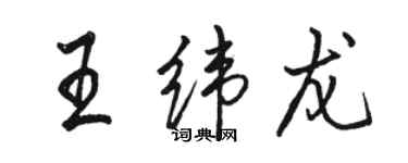 駱恆光王緯龍行書個性簽名怎么寫