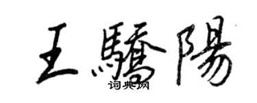 王正良王驕陽行書個性簽名怎么寫